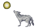 wolf howling at moon gif
