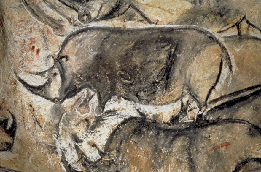 Cave art. Charcoal rhinos.