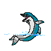 blue and white dolphin playing on surface