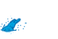 blue dolphin jumping gif