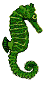 green seahorse gif