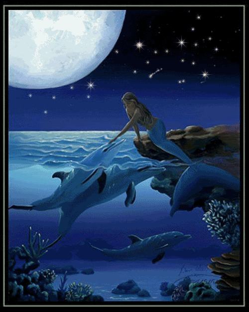 mermaid with dolphins in moonlight gif