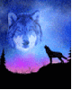 wolf howls at aurora borealis wolfmoon gif