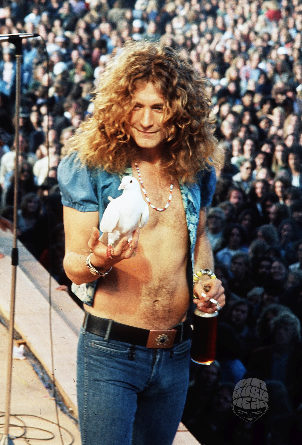 Robert Plant holding dove onstage 1970s
