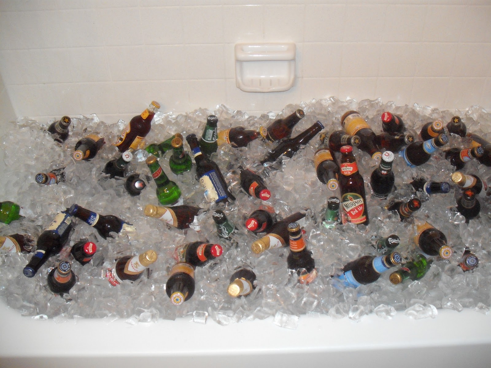 Bottled beer in bathtub full of ice