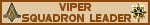 viper squadron leader