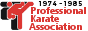 Professional Karate Association 1974-1985 88x31 button