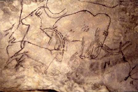 Cave art. Mammoth and Ibex