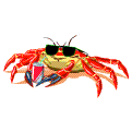Crab with shades