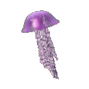 Floating jellyfish