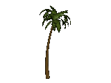 palm tree gif