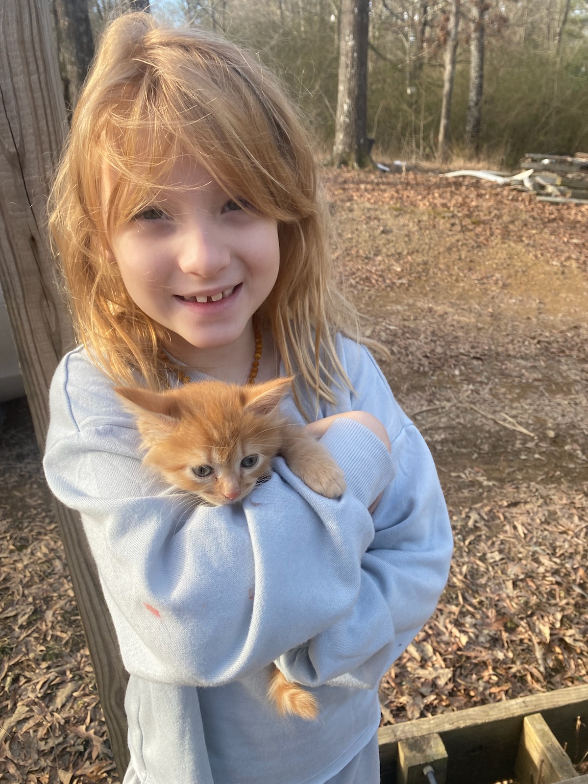 Aeryn with golden red tabby cat familiar