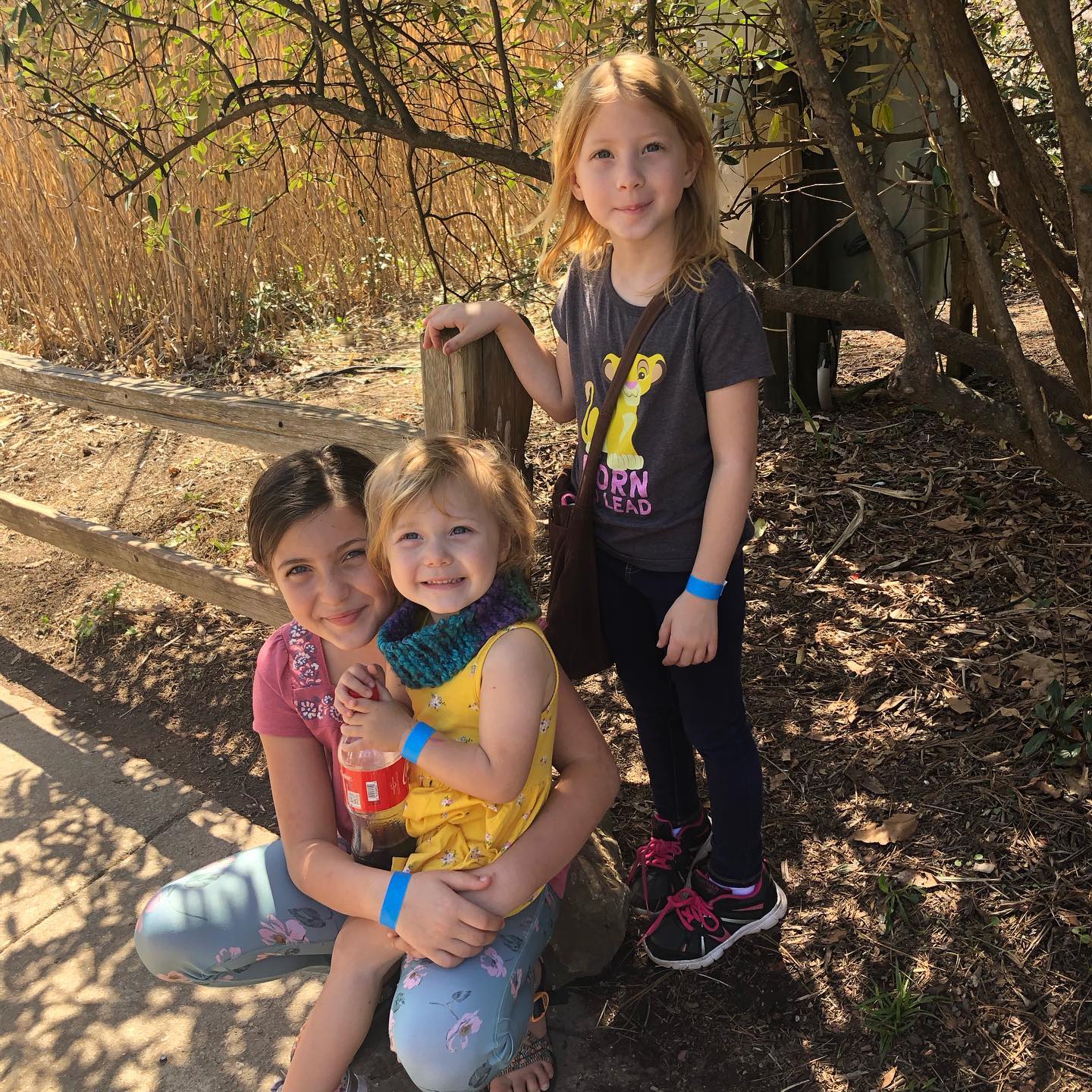 Three nieces in the woods