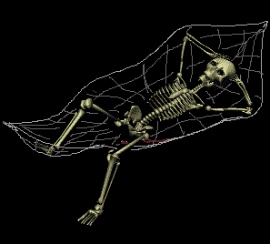 Skeleton reclining in webby hammock