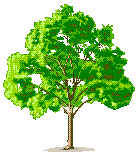 tree gif