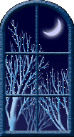 Window viewing crescent moon and winter trees